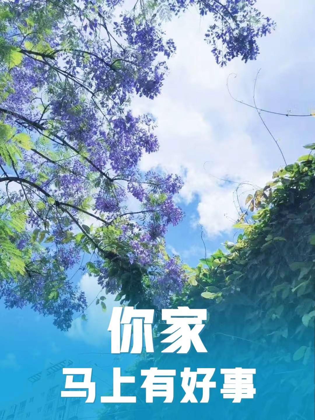 你家马上有好事。风光摄影风景如画的地方你们去打卡了吗晒晒你拍的奇特的树