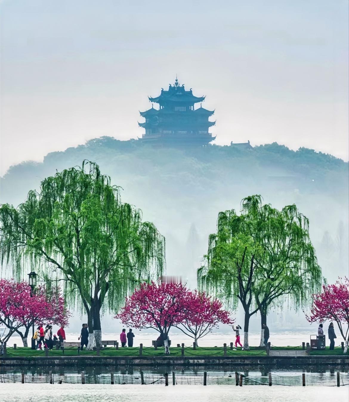 看得我热血沸腾了！日本投降之后，杭州这片土地上，发生了震撼人心的一幕。消