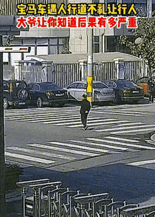看见大爷过马路还不减速让行？