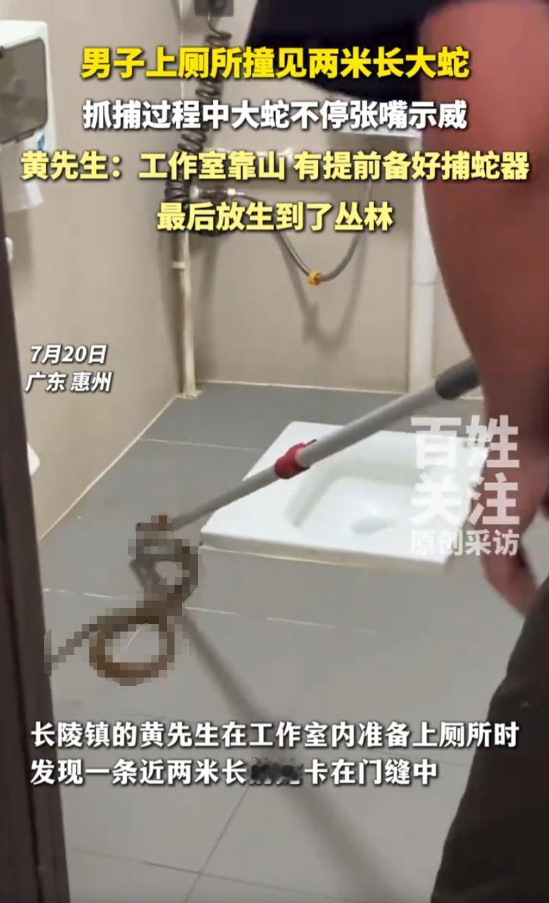 广东惠州长陵镇，山脚下有间老宅，被一个姓黄的木工师傅租下来当工作室。那天下午，黄