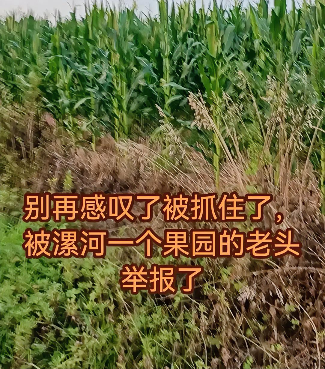 夏付刚最新后续：人还是被找到了，在外面东躲西藏了10天左右，最终还是难逃法网，