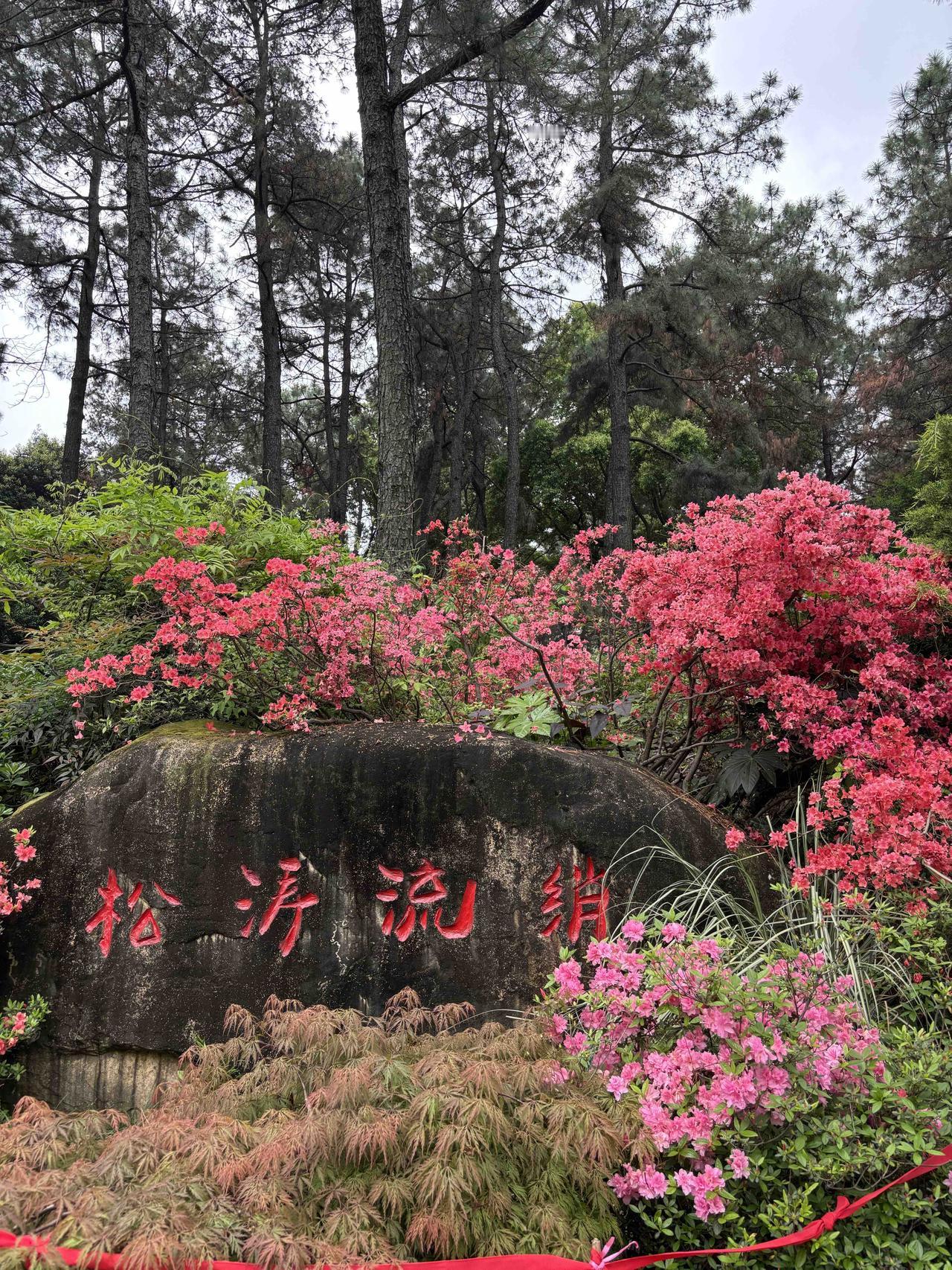婚姻的真相：一、男人有钱后，是不怕失去自己的老婆的，很多老婆会认为是自己陪他白