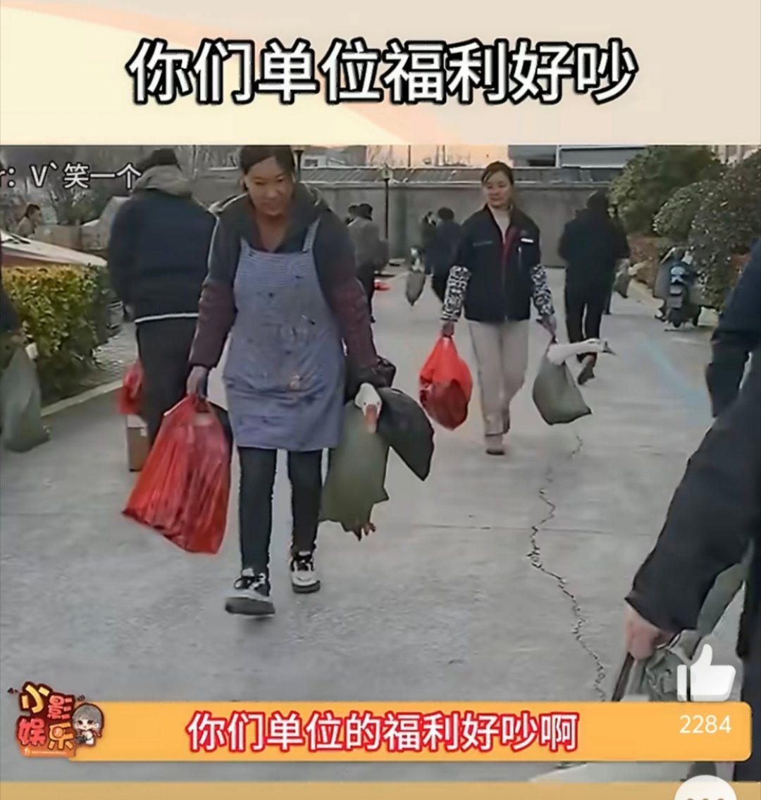 你们单位福利好吵哈哈哈哈哈大鹅做熟了再发比较好