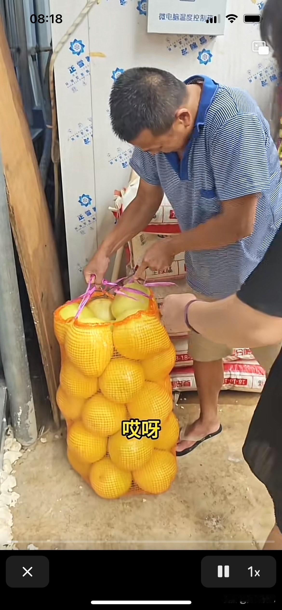 全红婵妈妈太贪心了，全爸新进一批货，让全妈拿一个尝试一下好不好吃，全妈直接不客气