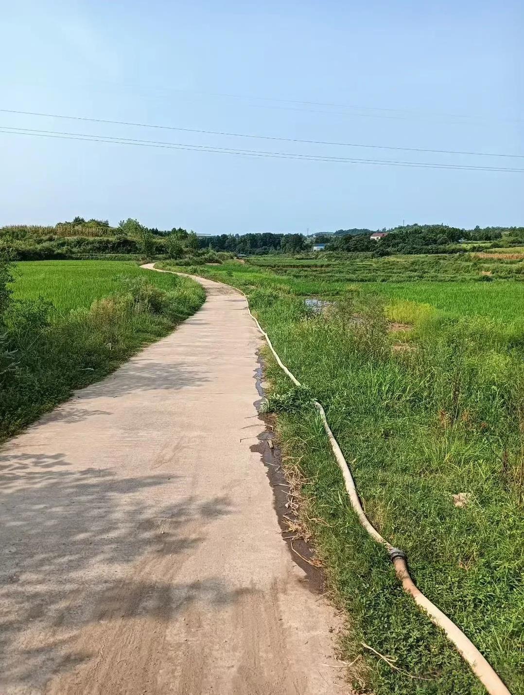 我数了一下，现在每家最少都装了两个空调，有的一家装了三四个空调呀！而我家只有两