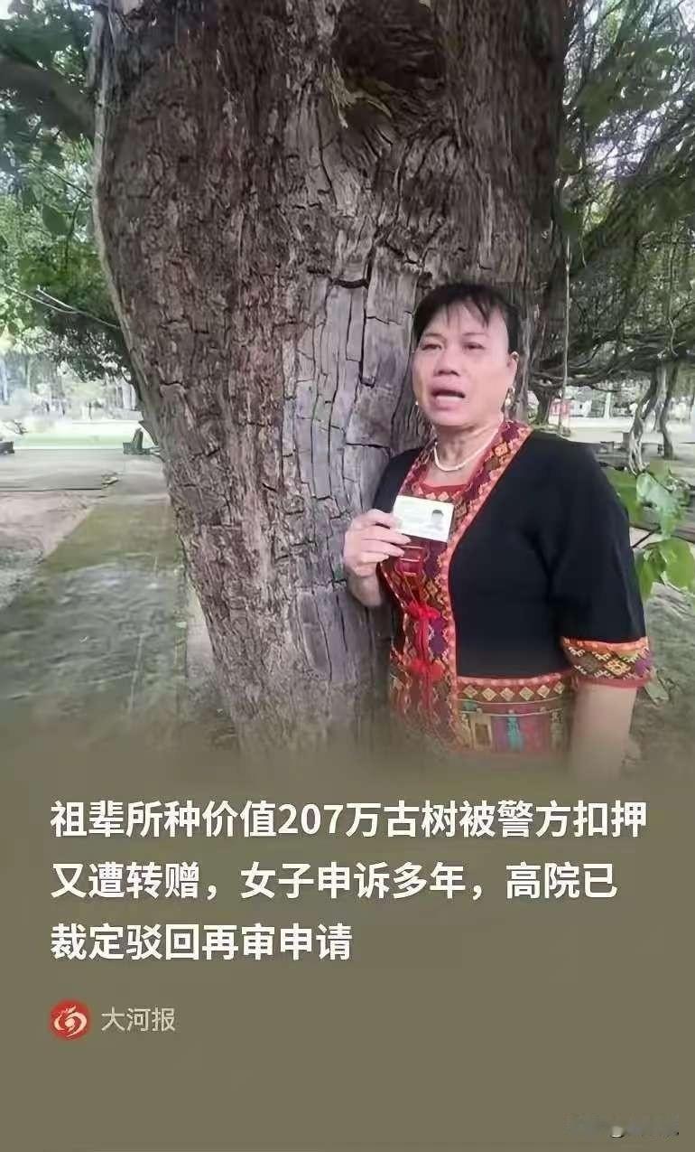 海南一村民反映，祖父种下的一棵估价超200万元的百年重阳树遭人盗挖。报警后，古树