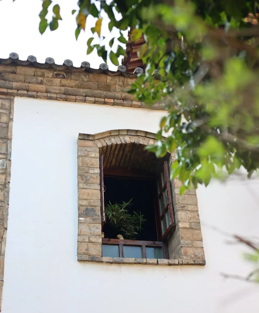 一个很现实的真相：人少，千万别硬撑大平层、大别墅。很多人把大房子当面子，却不知道