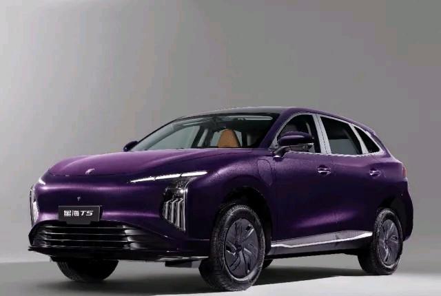 东风星海T5是东风风行旗下在2026年推出的一款紧凑型纯电动SUV。它于2月28