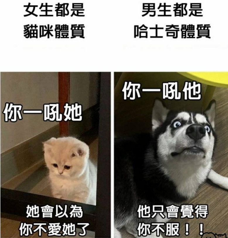 男生和女生的区别