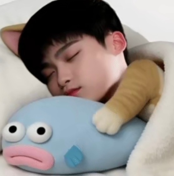 我要和我家明星睡觉去了​​​