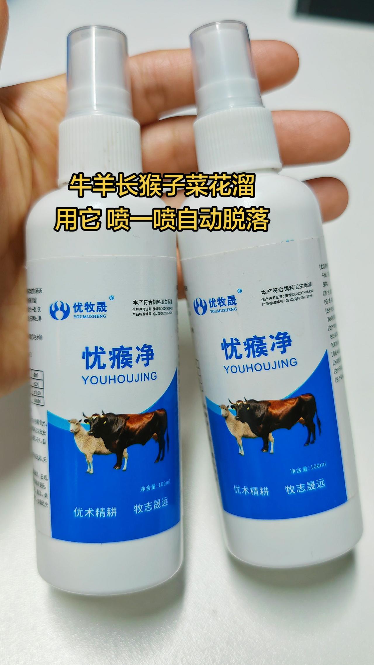 养羊人牛羊菜花瘤农村养羊牛羊养殖