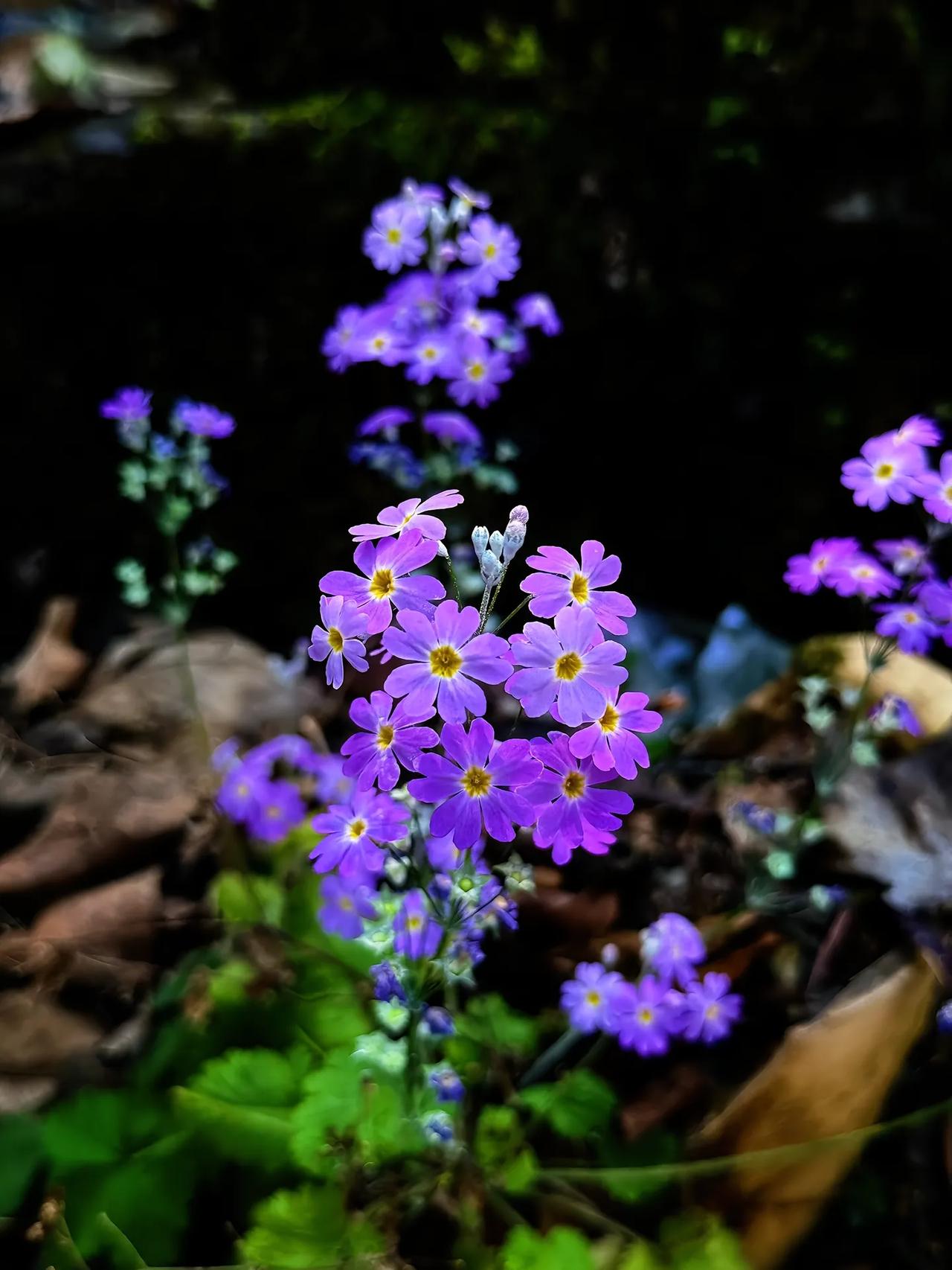 没有优秀的学生，再好的老师也无济于事。我留意到南通的一些名师来到南京，或是一些名