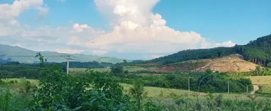 真心建议大家，休息的时候，别总窝在家里。花几块钱，坐上一辆开往乡下的公交车，一直