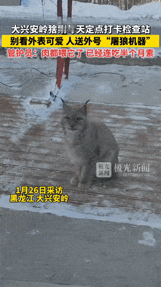 笑不活了家人们！黑龙江一处边境检查站最近火了，不是因为查了什么特殊情况，而是因为