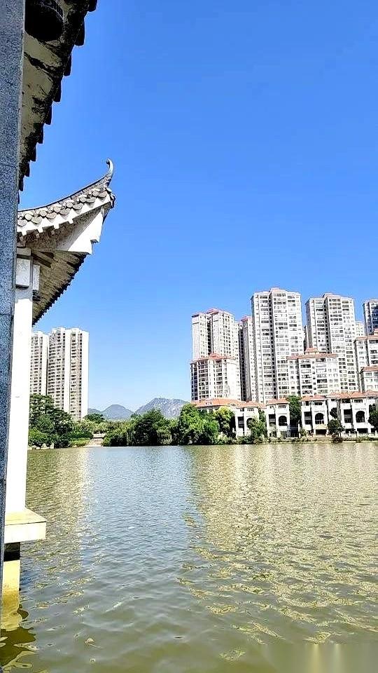 40岁的前夫跟当年非娶不可的前任离了婚，转头跑来找分开了十几年的原配求复合。当