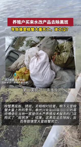 “严查到底！”10月30日，江苏泰州，一男子为了去除螃蟹黑底板、锈斑，卖个好价钱