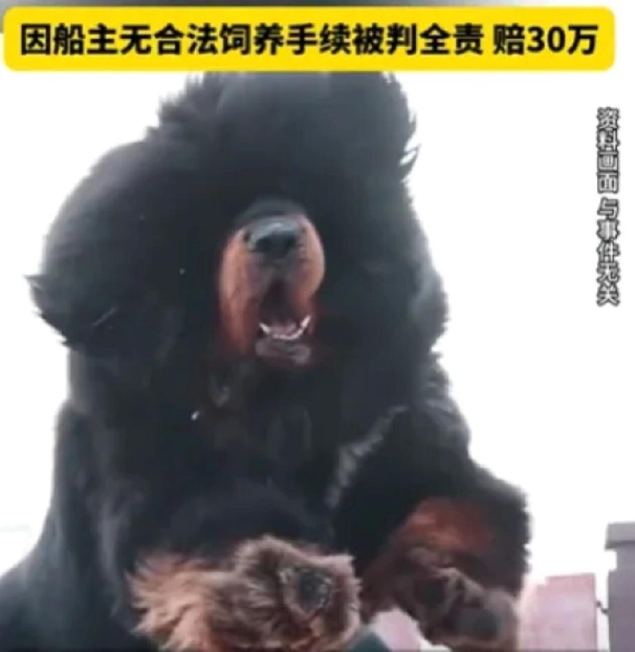 “这飞来横祸找谁说理去！”张某本是好心去放生乌龟，却因疏忽大意，没把船上“船上有
