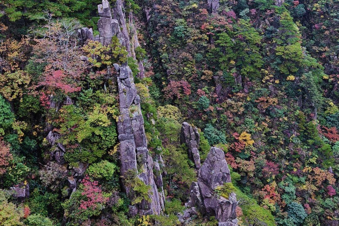 最新！11月黄山风景区开放时间、索道运营时间发布，请收好11月的黄山，是一幅