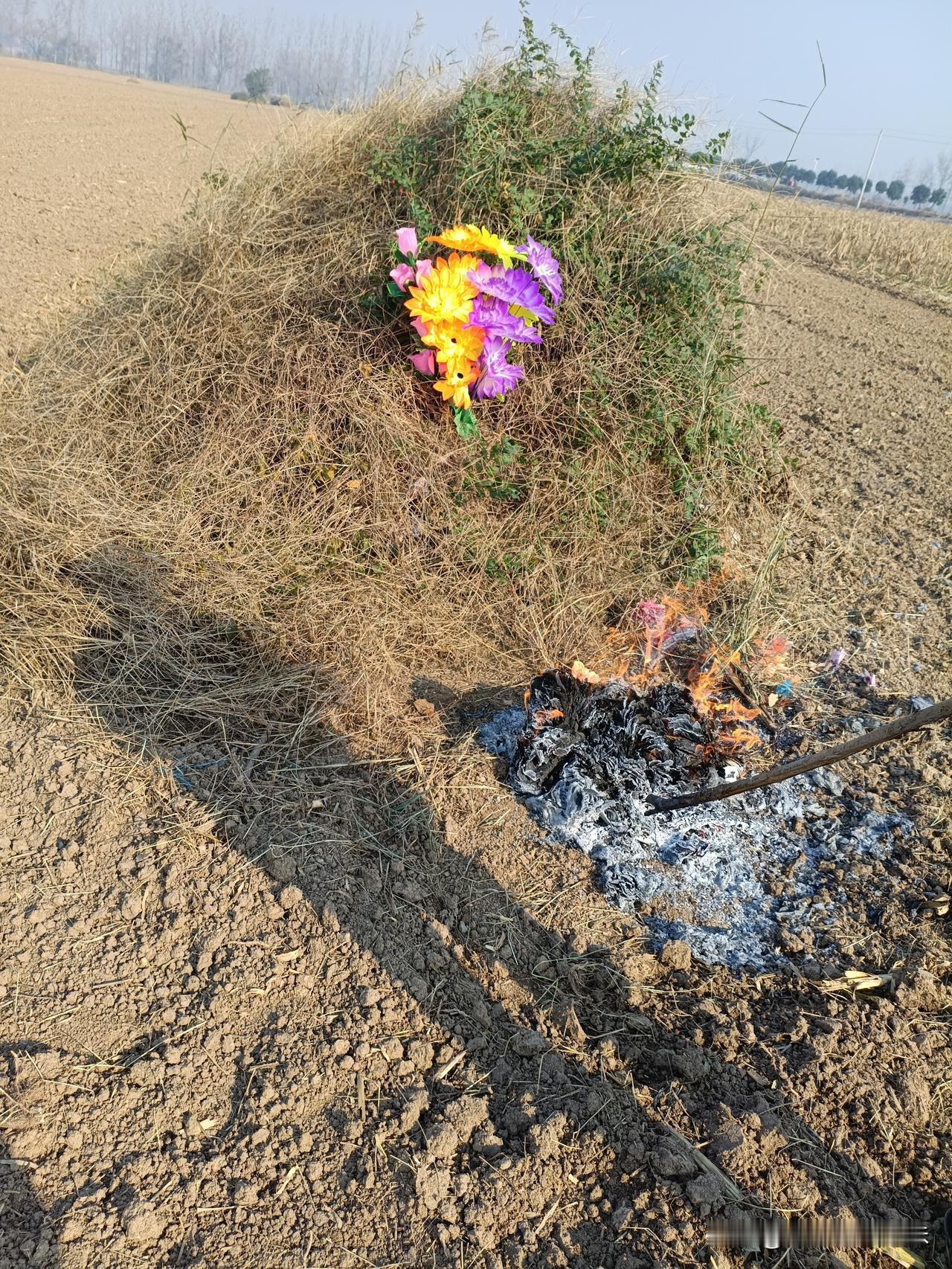 陪母亲来给姥姥烧纸，我们这边讲究农历十月初一过后烧，意思十月初一这天过了就得给去