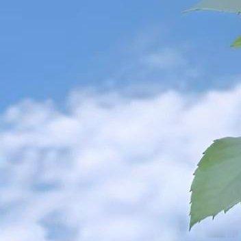 人生从没有白走的路，那些历经的坎坷与波折，都不会白白消散。每一次跌倒与磨砺，都在