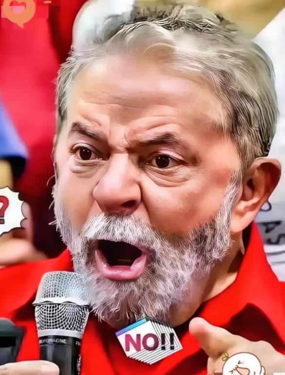 巴西这一刀砍得真狠啊！2026年4月6日，巴西外贸委员会管理执行委员会在官方