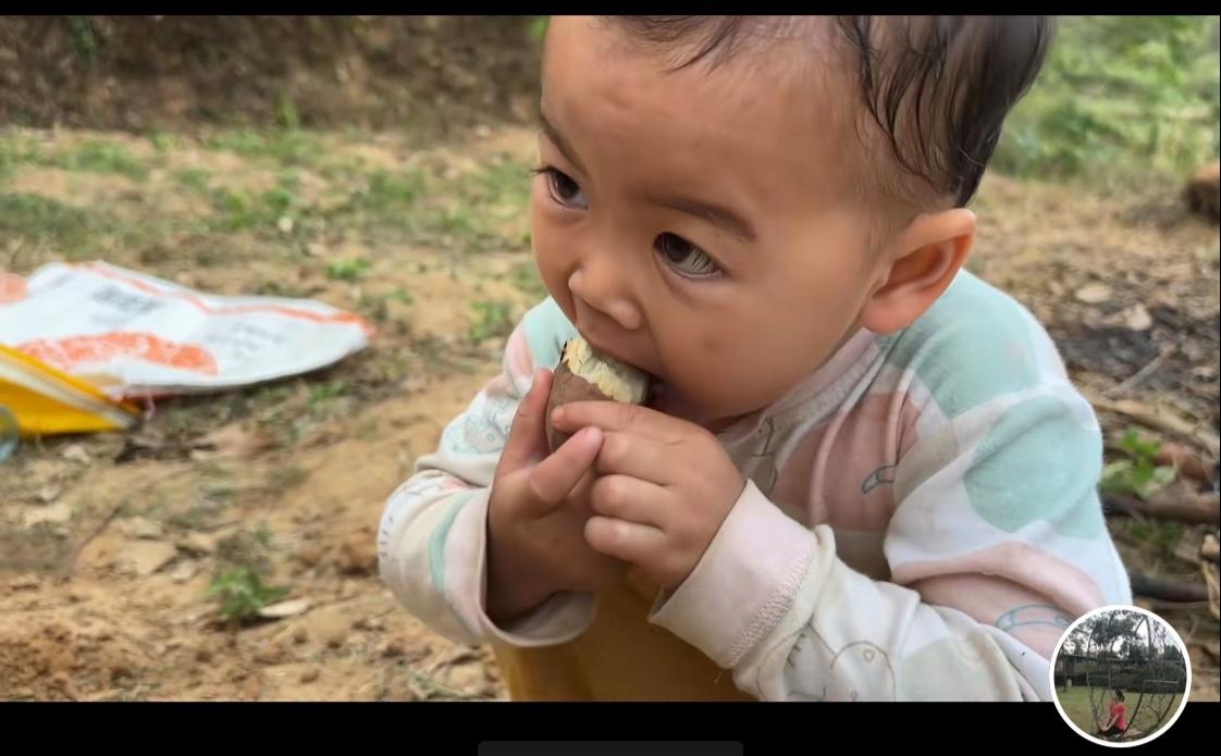 广西一帆妈妈带着四个小孩去坡上搭窑窑番薯了。四个小孩子在地里撒欢好热闹。捡番