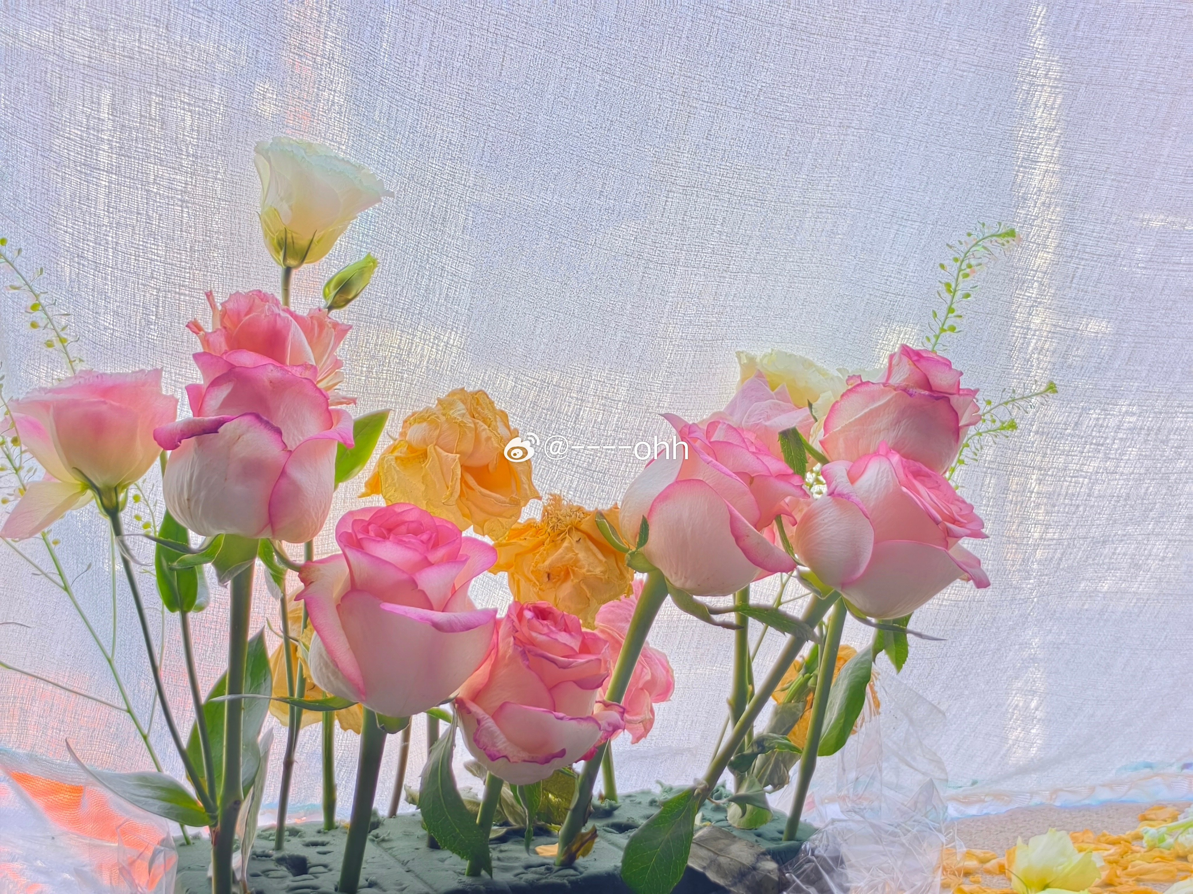 🌸🌸🌸​​​