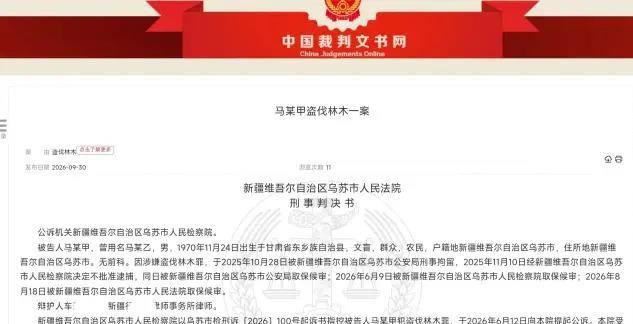 新疆乌苏的马某砍了55棵杨树，结果把自己砍成了罪犯。村主任曾让他处理枯树，后来没