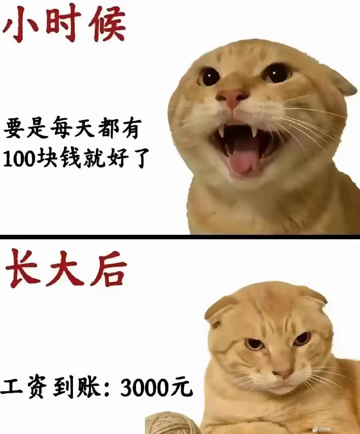 你就说是不是每天100吧[捂脸哭]