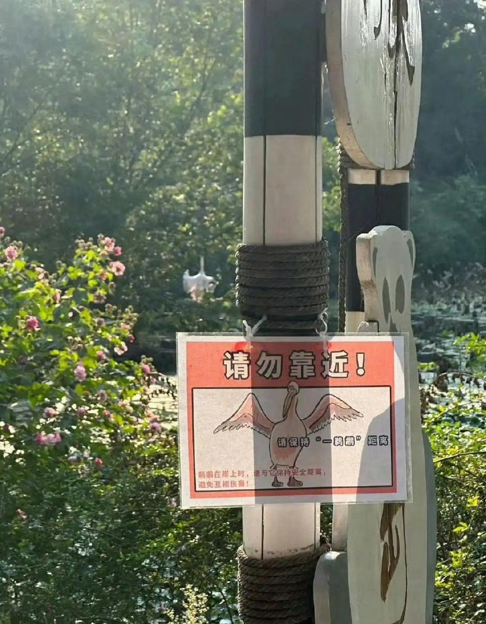 谁能告诉我这是真的吗