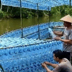 我不骗你，这玩意，我爱了。