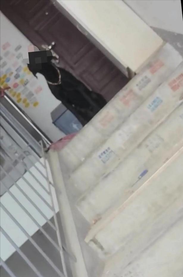 这人实在歹毒！湖北武汉，一位八旬老者名下有套空置老宅打算挂牌转手。哪想到，每当中