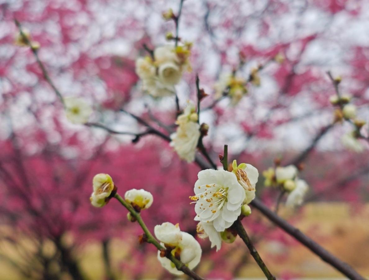 我72年的，今年54了，最近总觉得有点不对劲，也不知道是怎么了？1、莫名躁热