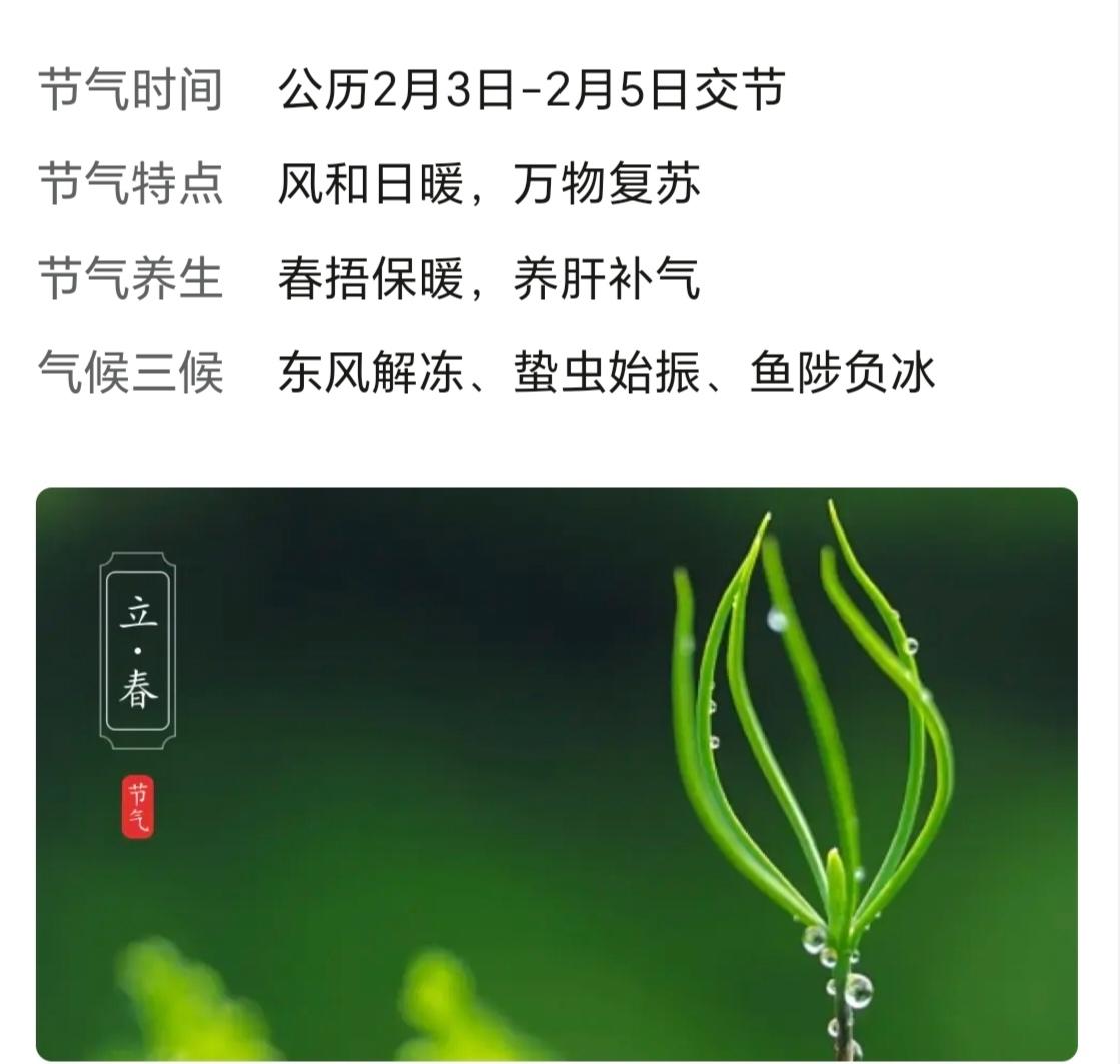 今日虽为立春，然而十二生肖的轮换，是从农历正月初一开始的。也就是说，2026年的