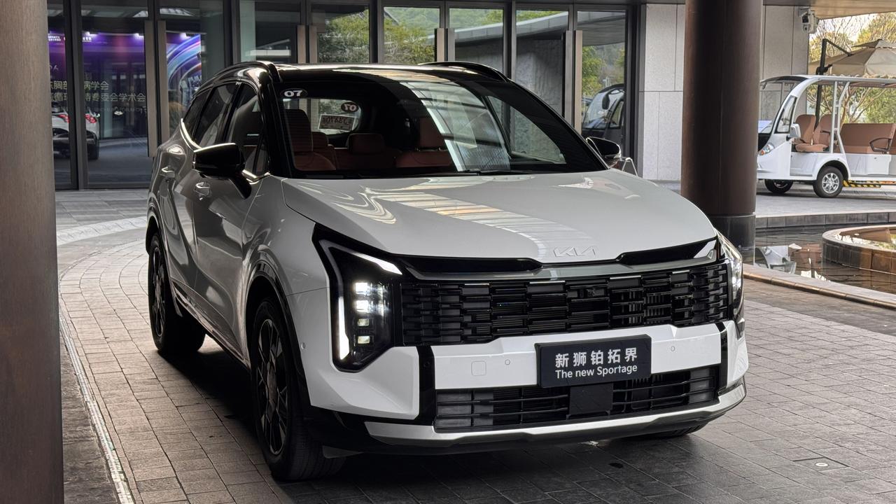 现代起亚在全球还是大哥级别毕竟燃油车占全球新车比例依旧高企但在国内，起亚存在