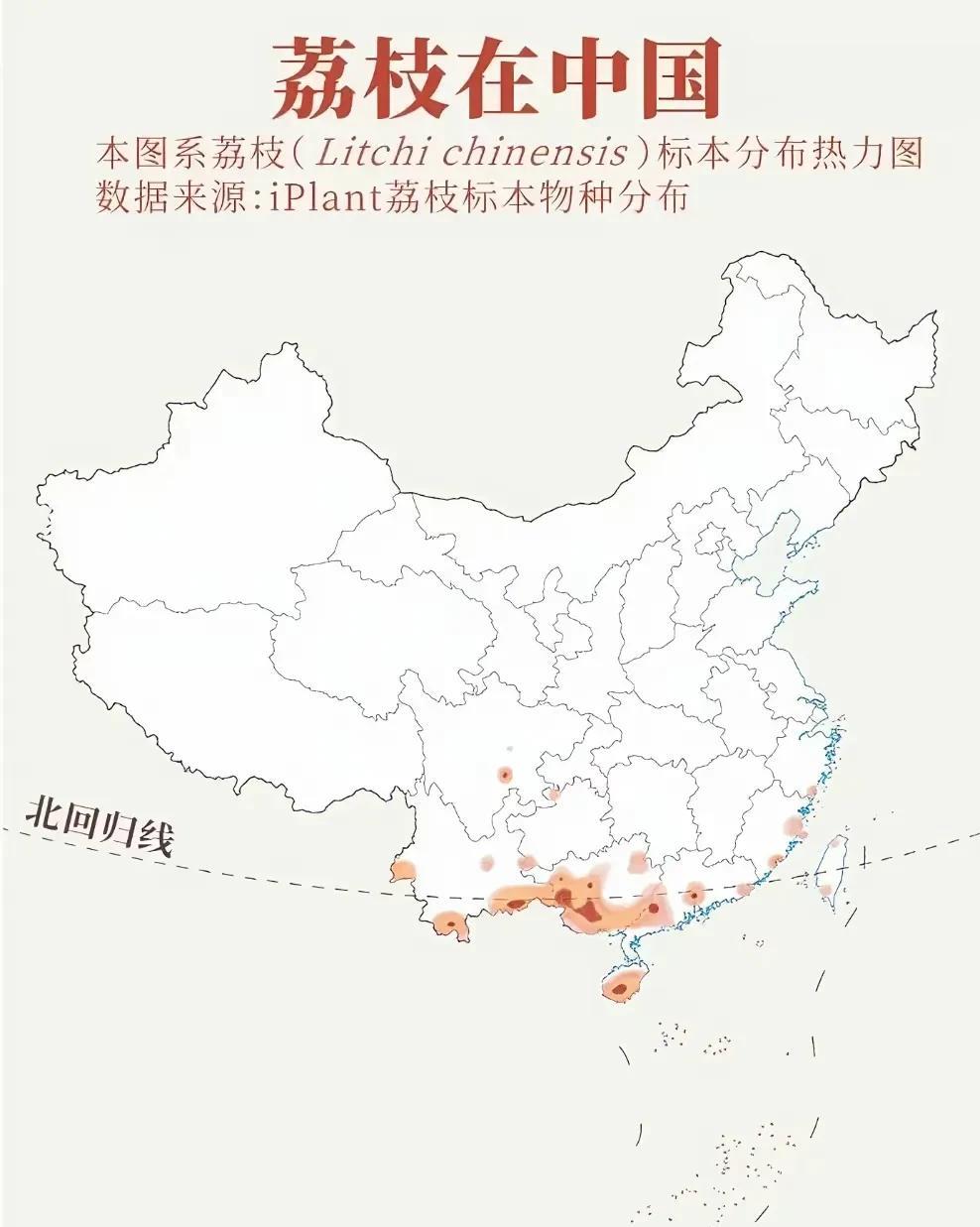 同样的纬度，为何荔枝主要集中在广西，广东、云南荔枝分布就不多？海南的纬度更低，
