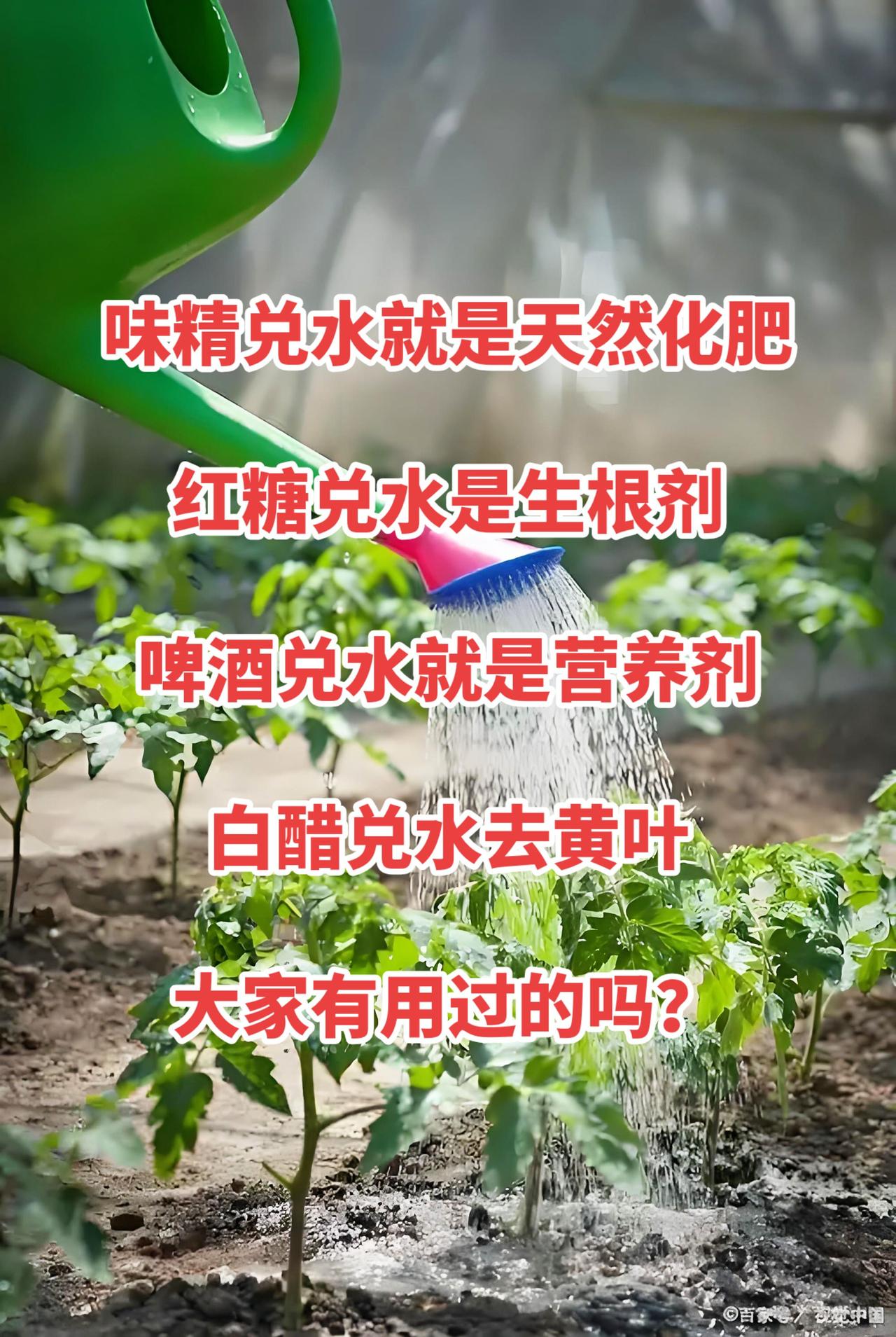 这些说法在网上很流行，但不完全科学，不建议作为主要施肥手段，偶尔试用可以，但千万