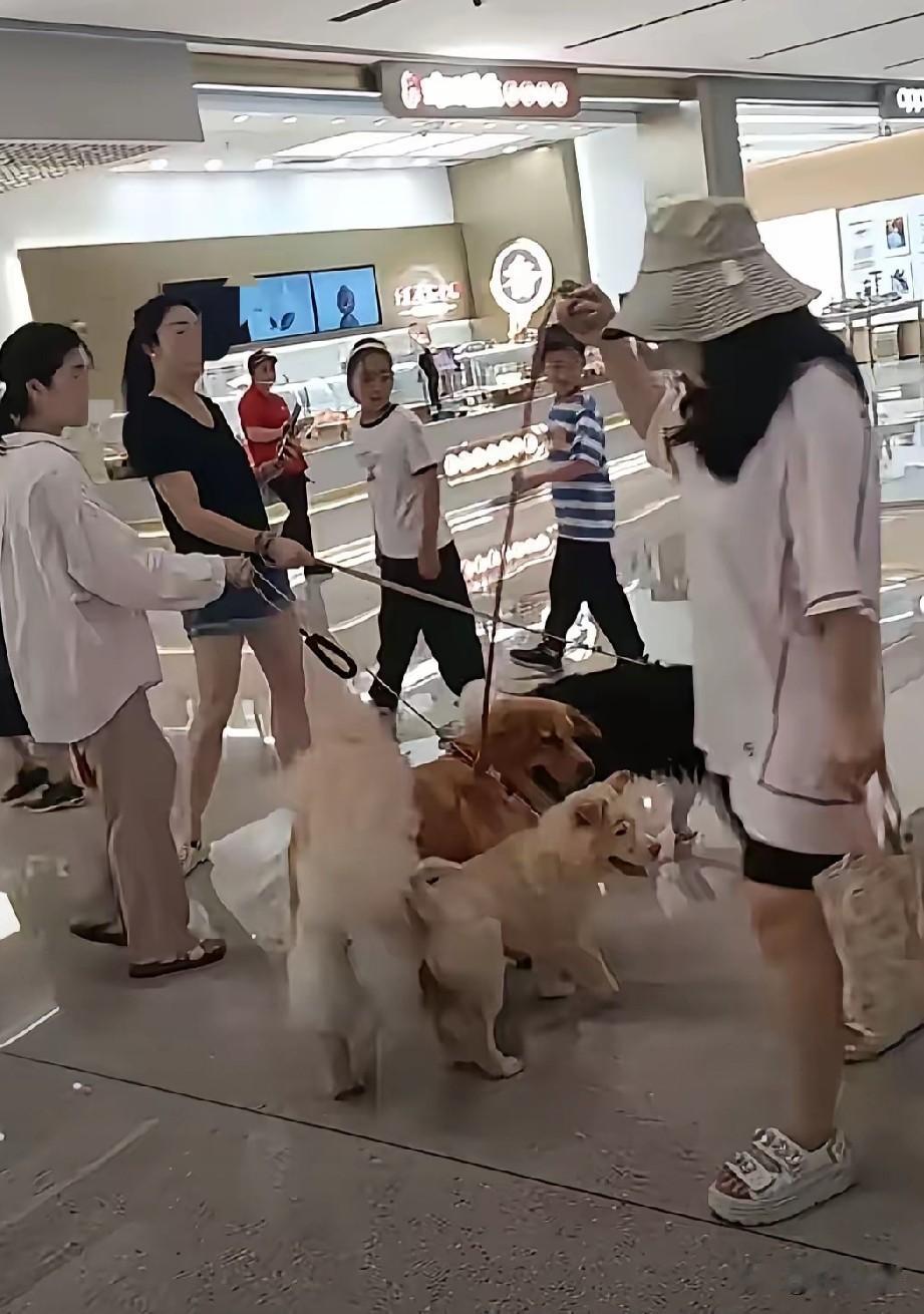 成群结队的狗在商场乘凉，狗主看看四周无人，找个墙角解决，狗喜欢到处撒尿，做记号