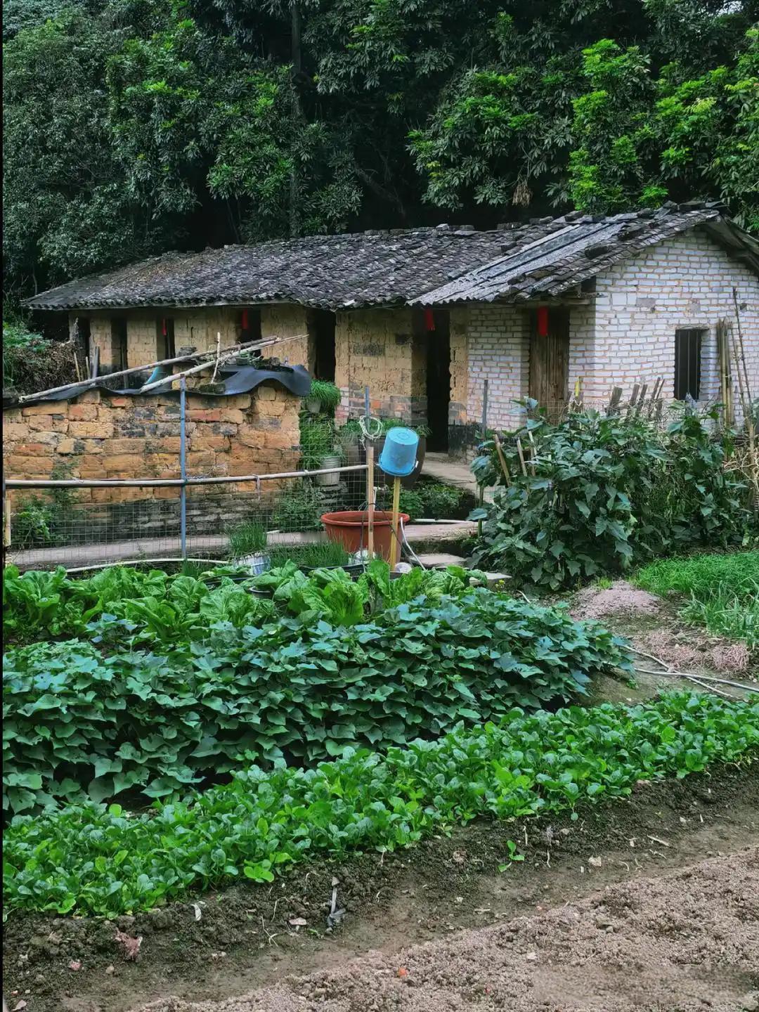 以前杭州上班，认识个彝族女孩，超漂亮，却很节约，只要加班，绝不错过，问她为啥拼，