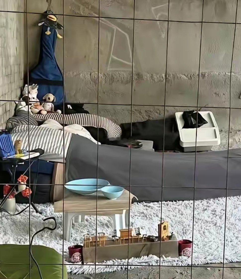 住桥洞都能住这么精致，以前一定是个有钱人吧！