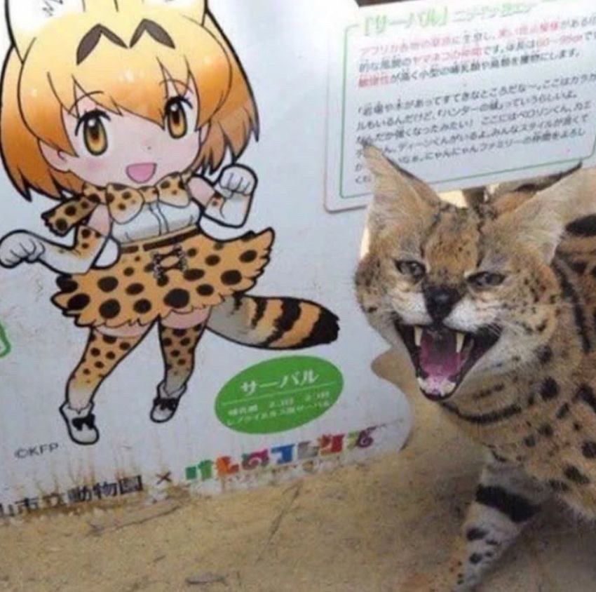 孩子们这不是我​​​