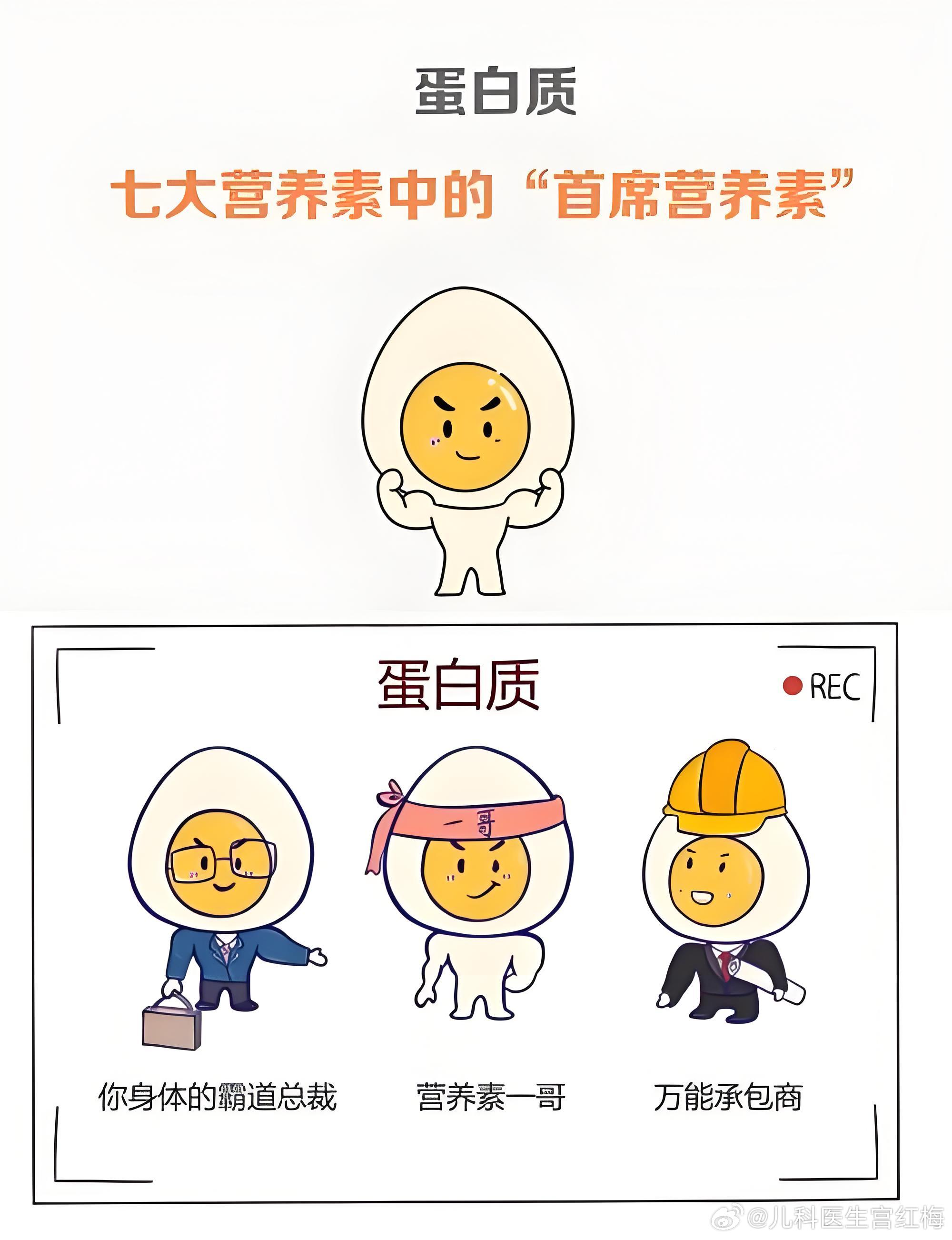 很多家长只顾给孩子吃主食、蔬果，却忽略：蛋白质，是孩子长高、长体质的核心营养。孩