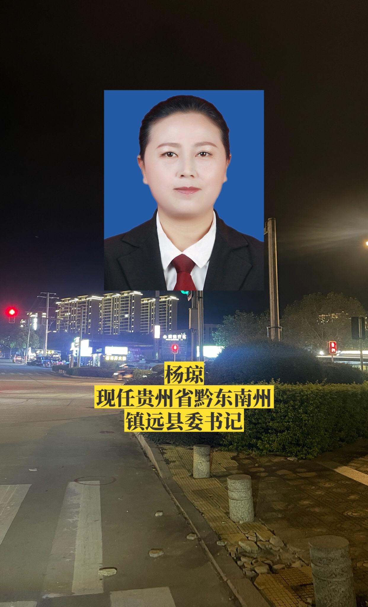 贵州黔东南州各市县书记。