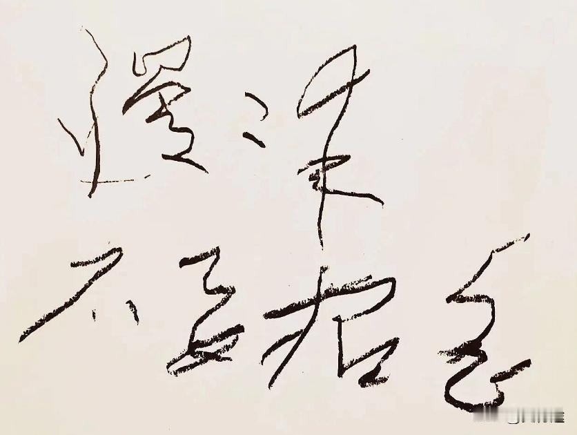 毛主席在1976年最后的时间里写的字。看了半天也没分辨出来，各位能认出来吗？