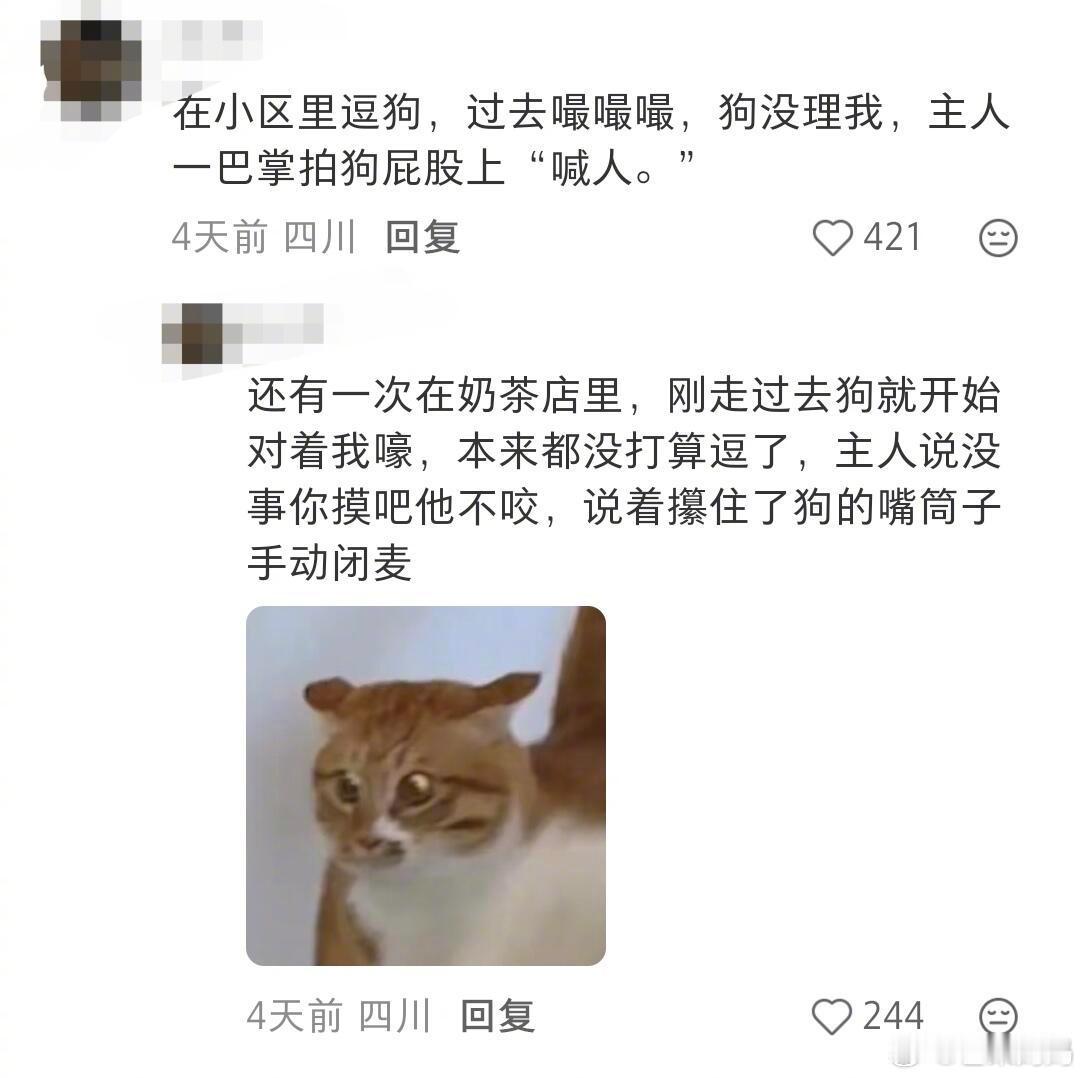 养狗人出门在外起到一个代言人的作用