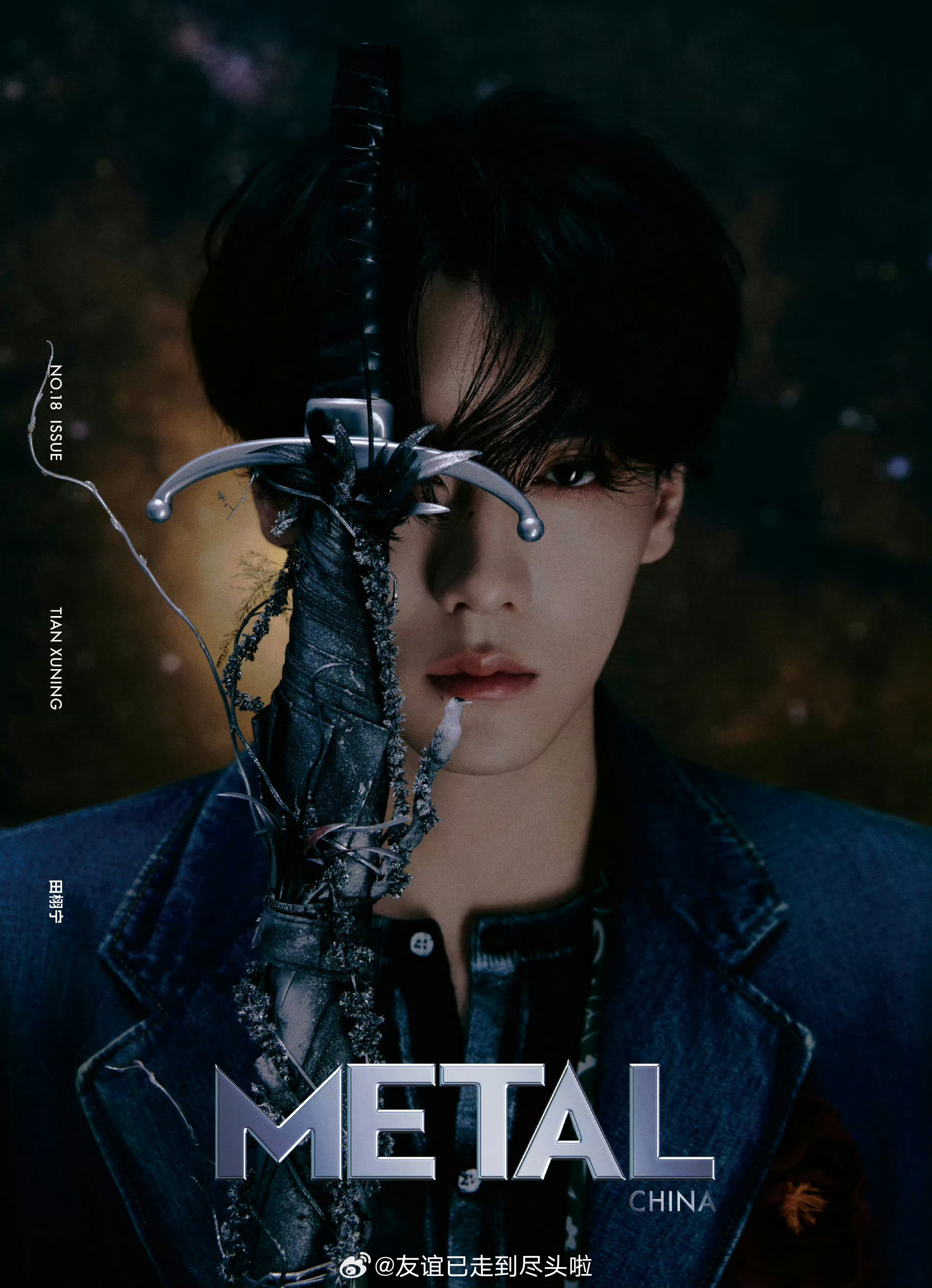 Metal田栩宁田栩宁首本杂志《metal》限量25w本，秒切达成，销售额约1