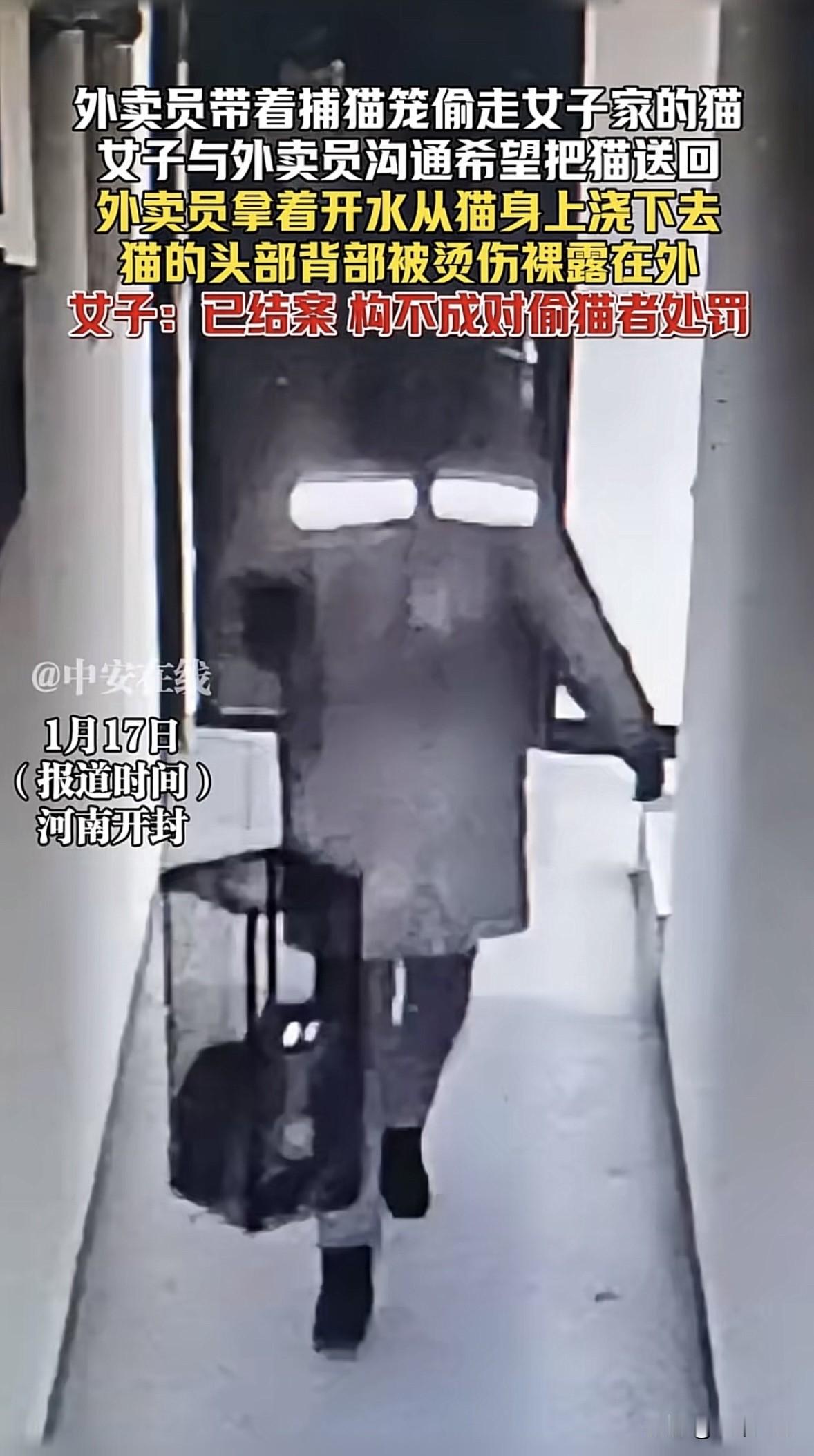 河南开封，女子发现家里10个月大的猫突然不见了，她调出监控，发现是一外卖员带着笼