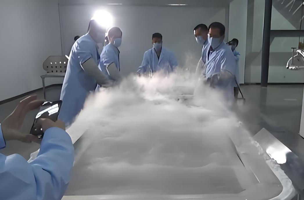 冷冻人体复活梦碎，中国科学家另辟蹊径：从惊悚解冻到真实突破