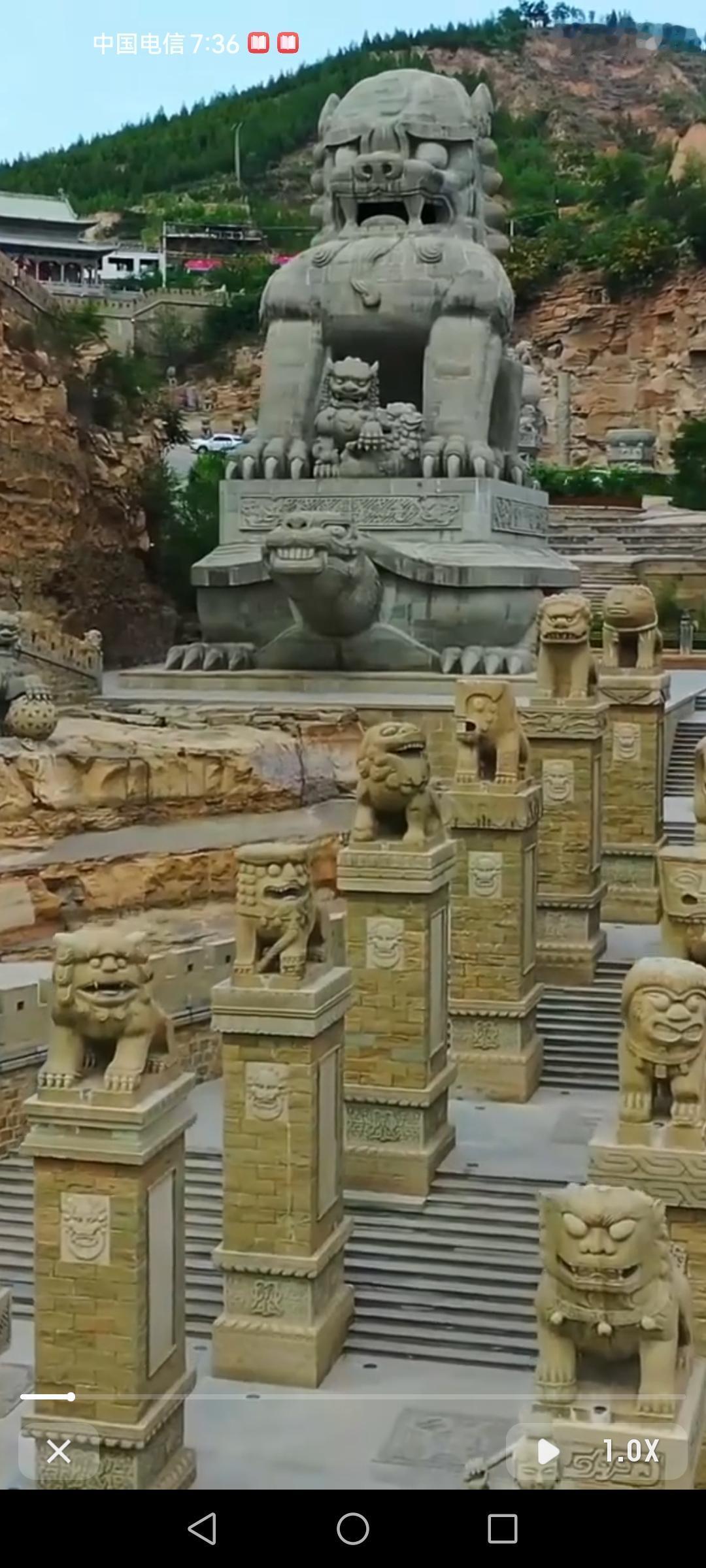 中国最大的石狮在陕西绥德，高达19.5米，就在无定河龙凤桥东侧的山谷两侧，那场面