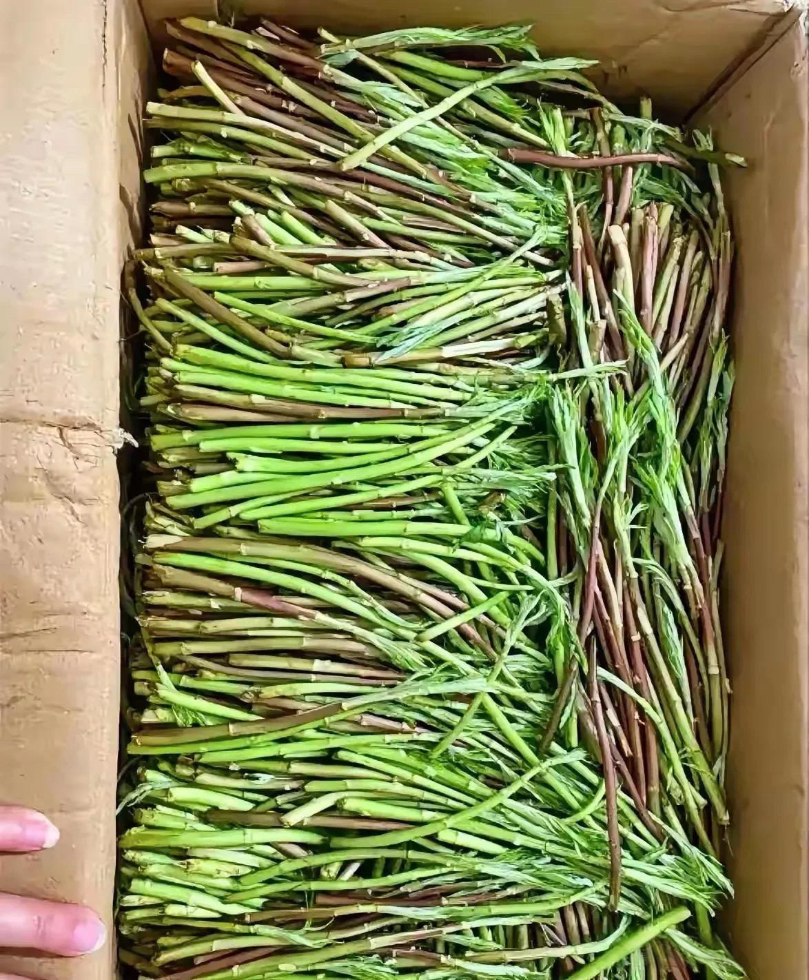 好想吃这个菜啊